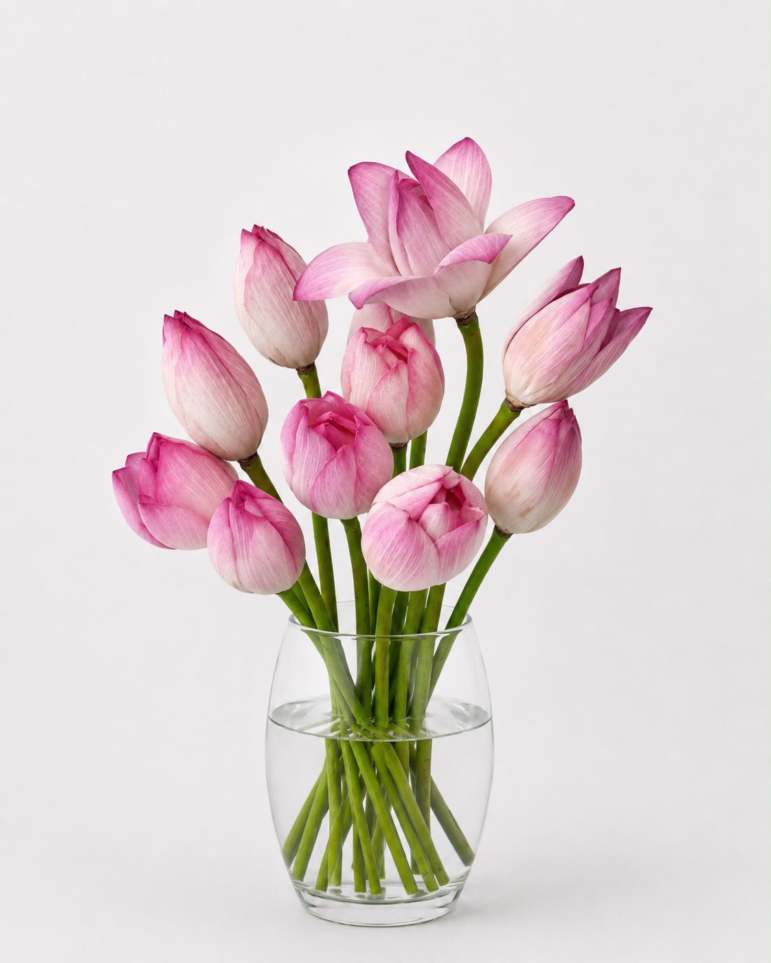 BUNGA LOTUS PINK